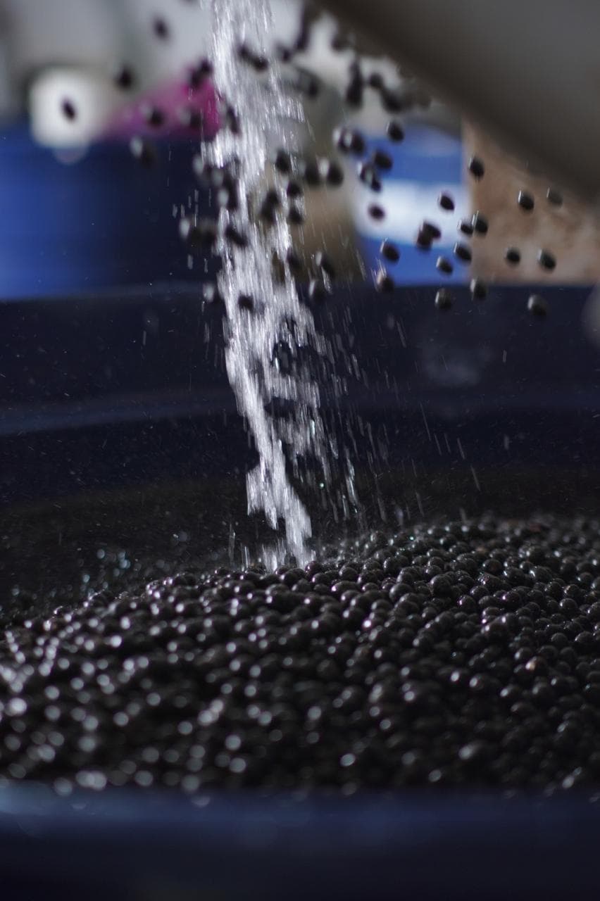 Processo de produção - Lavagem do açaí